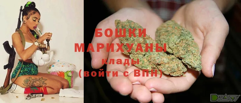 мега онион  Ершов  Бошки марихуана White Widow 